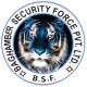 Baghamber Security Force Logo